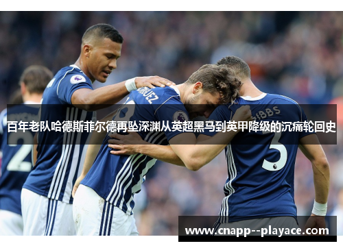 百年老队哈德斯菲尔德再坠深渊从英超黑马到英甲降级的沉痛轮回史